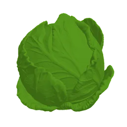 Baby size at week 30: about the size of a cabbage