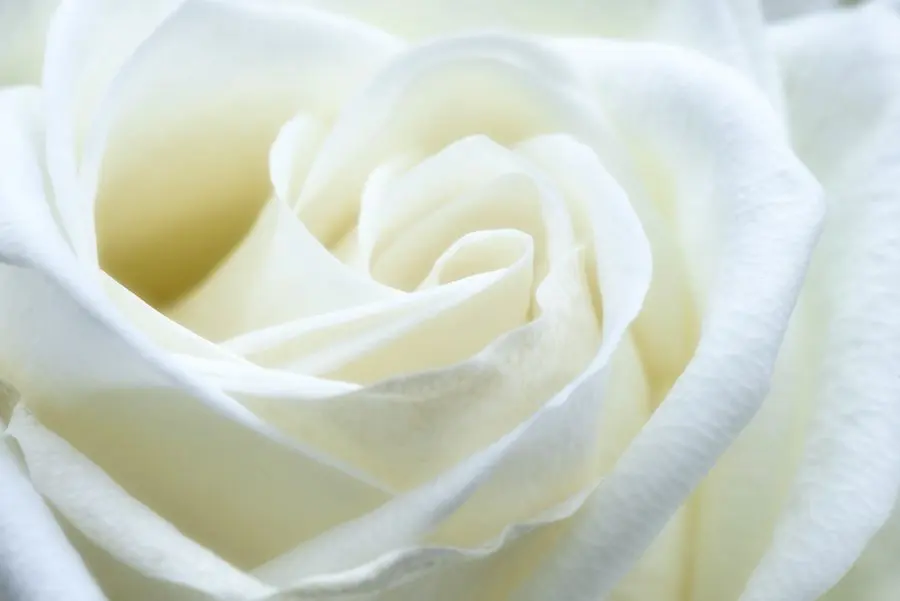 Pregnancy Loss and Support — Momly